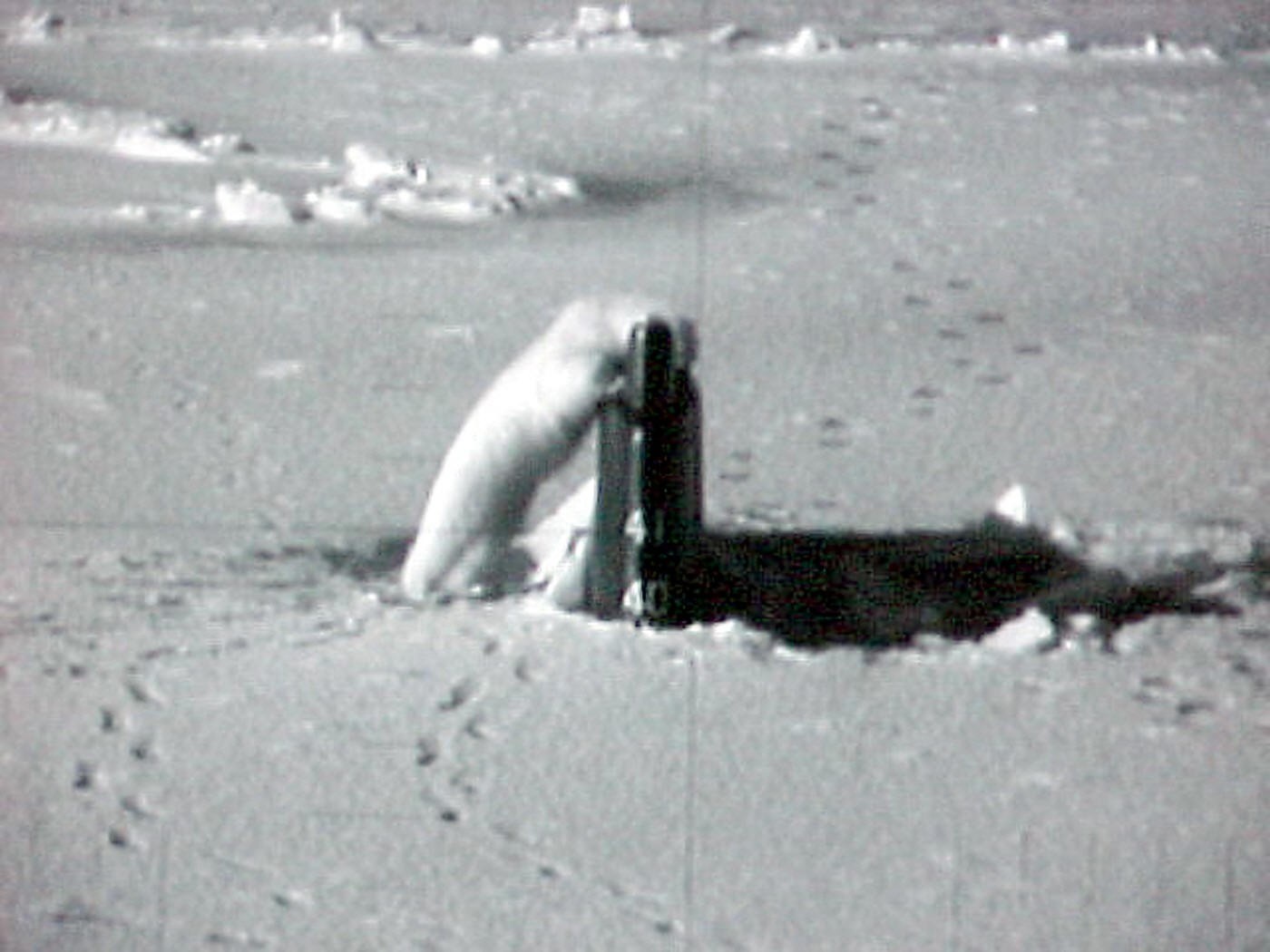 ssn-22 uss connecticut seawolf class attack submarine us navy exercise icex 03 arctic ocean polar bear 28