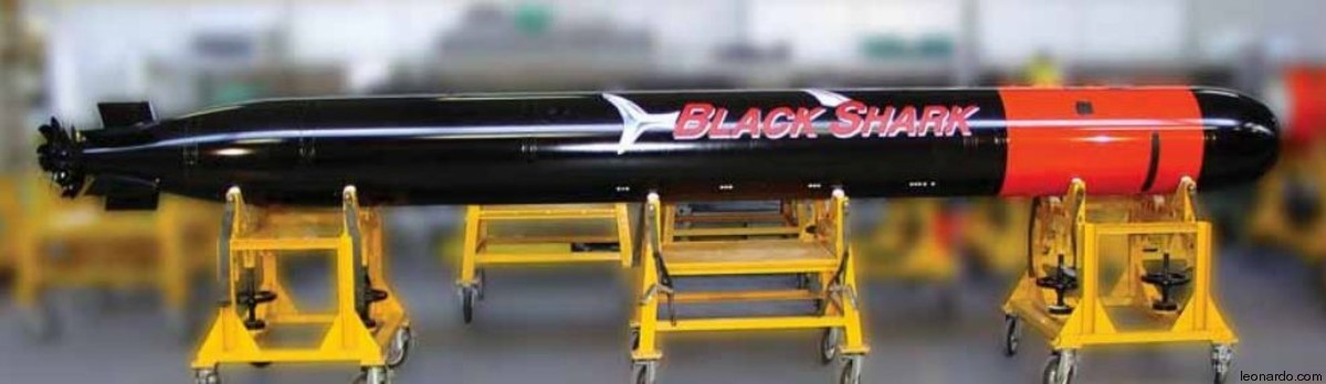 black shark heavy weight torpedo hwt wass leonardo attack submarine ssk 03