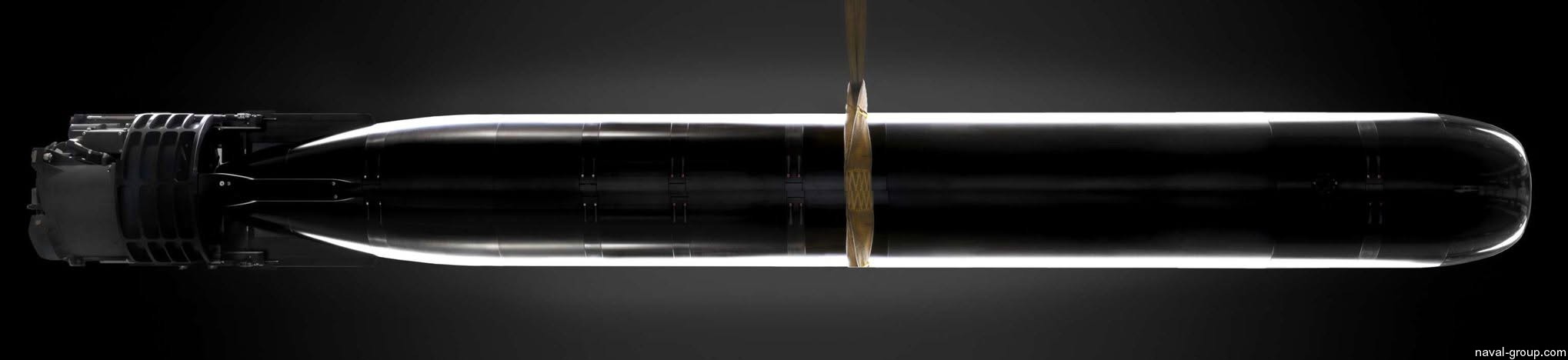 f21 heavy weight torpedo hwt naval group 21-inches 533mm attack submarine navy 02