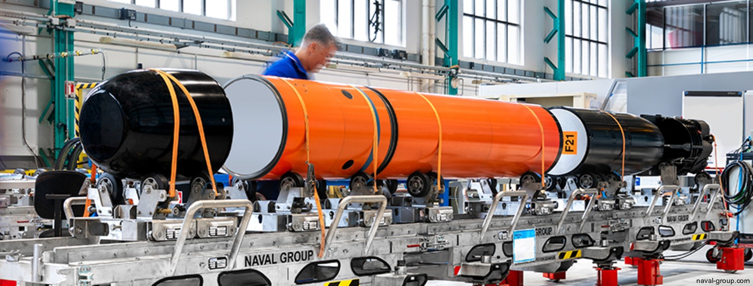 f21 heavy weight torpedo hwt naval group 21-inches 533mm attack submarine navy 06