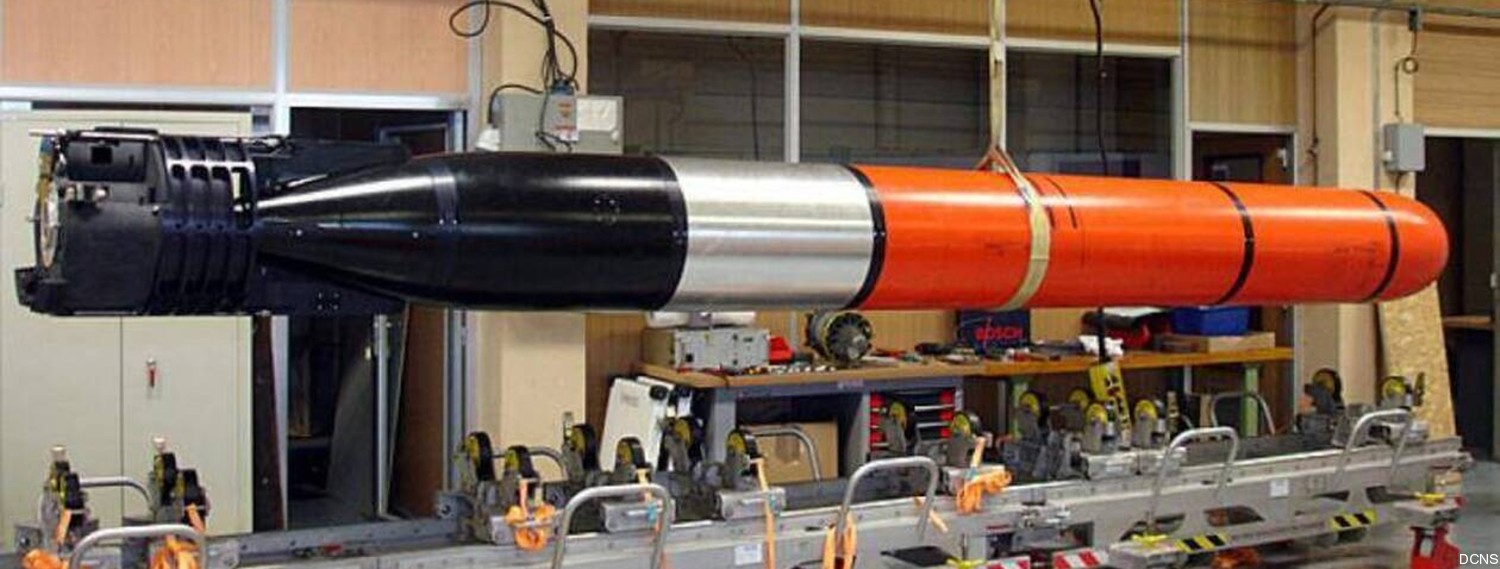 f21 heavy weight torpedo hwt naval group dcns 21-inches 533mm attack submarine navy 07